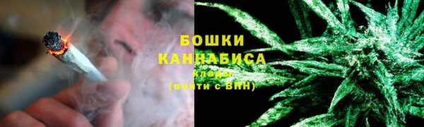соль ск Липки